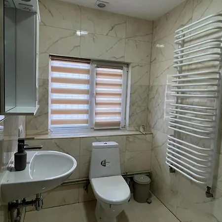 синевирська перлина Pensionat