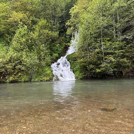 Pensionat синевирська перлина