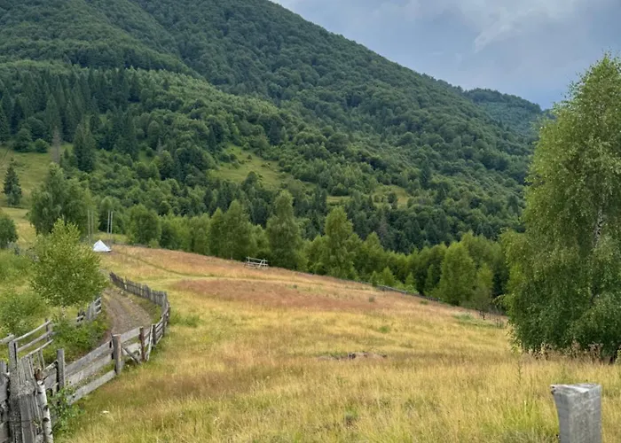 синевирська перлина Pensionat 3*