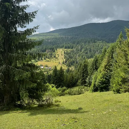 синевирська перлина 3* Lac Synevyr